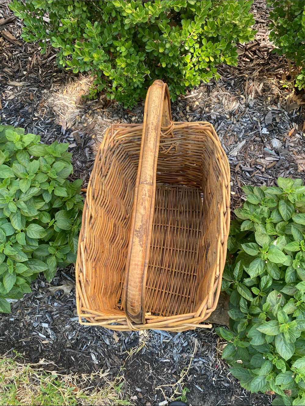 Vintage Woven Rattan Gathering Basket with Bamboo Handle in Natural Brown - Picture 3 of 16
